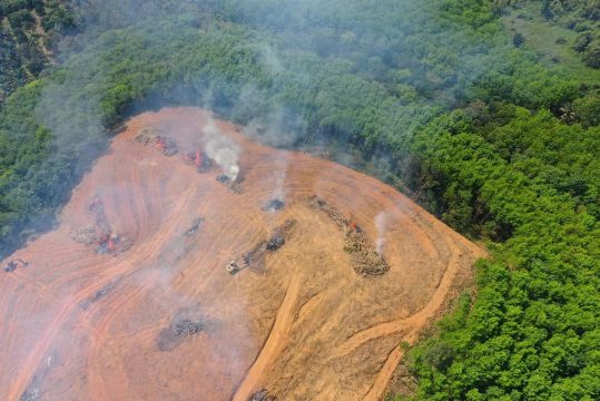 Amazônia bate novo recorde de redução de desmatamento, destacando avanços tecnológicos e políticos