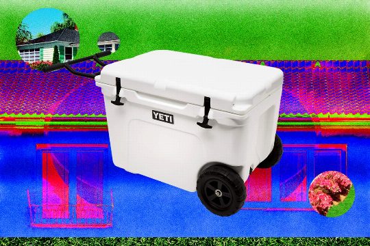 13 Best Coolers for Sunshine and Nighttime (2026)